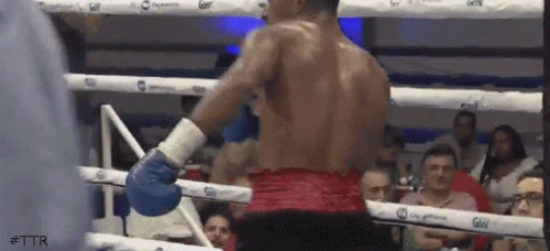 macarrontko654654654.gif