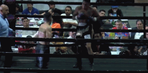 migueltko3432.gif