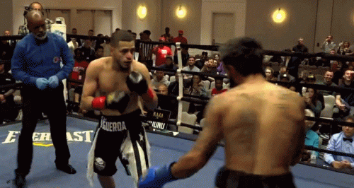 rafaellpo5654654.gif