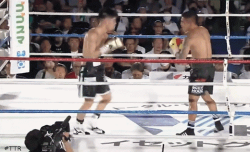 tanakatko543543.gif