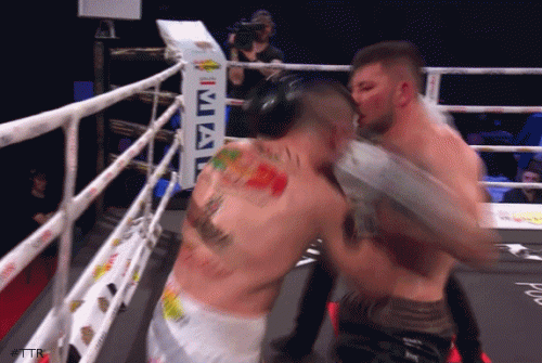 tryvctkof543543.gif