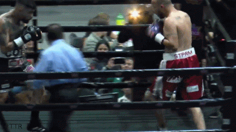 vidalestko54543.gif