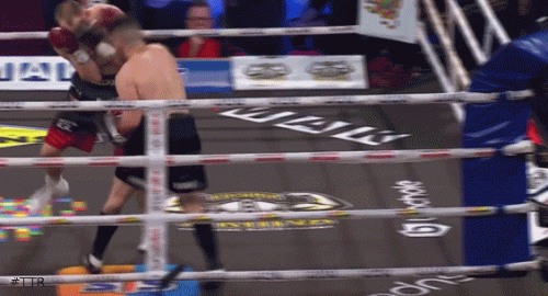 wolcztko54543.gif