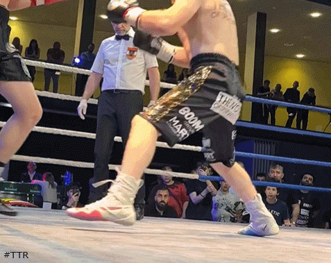 elsaevtlkpo543543.gif