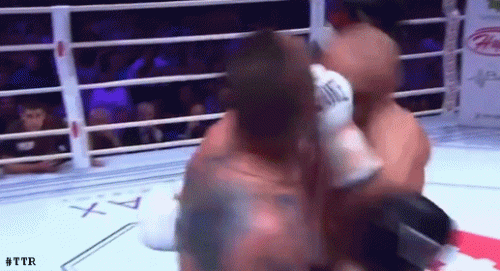 velevtko543543543.gif