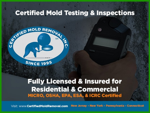 Mold-Inspector.jpg
