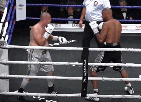 melkuhus324324.gif