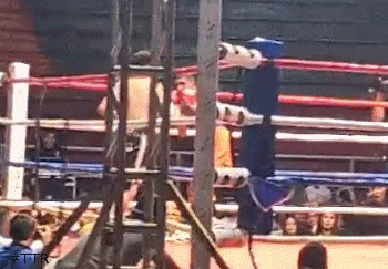 popocatko4543543.gif
