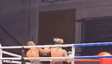 alitko3432432.gif