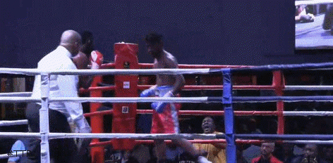 colintkoerw4325432.gif