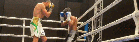 guerfiretirement4534534.gif