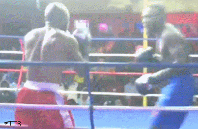 malaewitko454353.gif