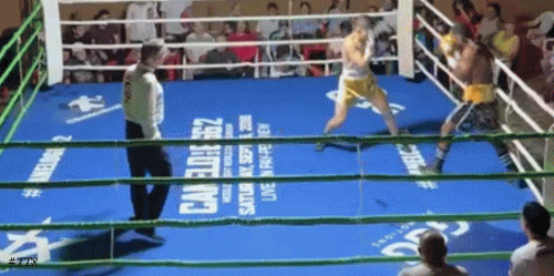 ISLAKO345324532.gif