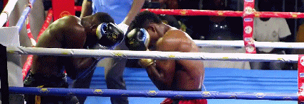 aneletko4534534.gif