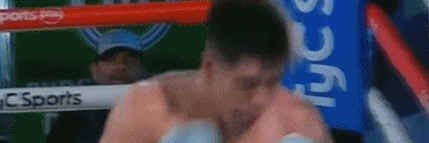 maxitko35423432.gif