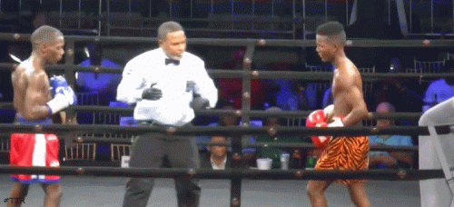 pinalestko342342.gif