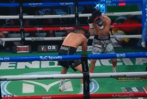 vennenotko354243543.gif