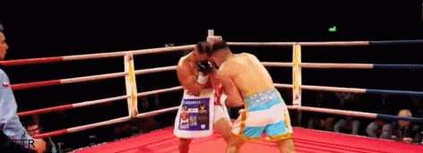 zuletaud354235432.gif
