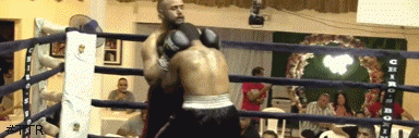 delorbetko54434543.gif