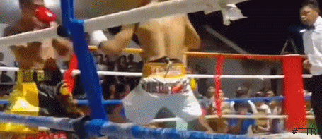 jestinetko3423423.gif