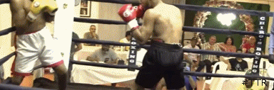 rosako15443543.gif