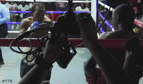 alcantaratko432432.gif