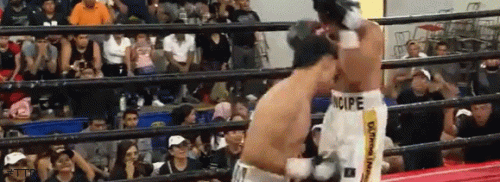 anayatko4543543.gif