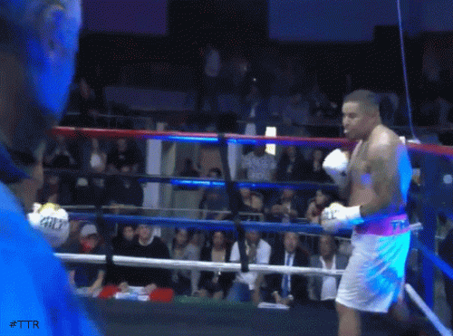 brandtko4323432.gif