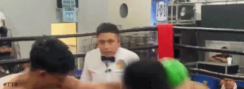 cervantestko986875.gif