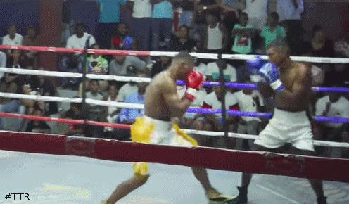 michealtko32421432.gif