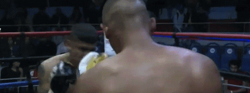 queralestko453453.gif