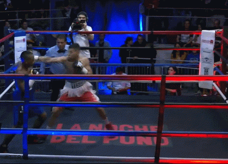 reinako5434543543.gif