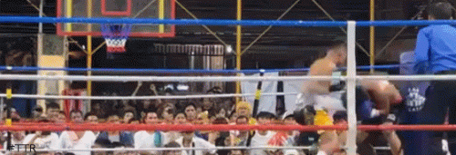 vergewaratrko4543543.gif