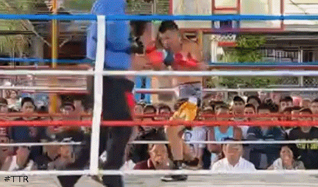yordantko4543543.gif