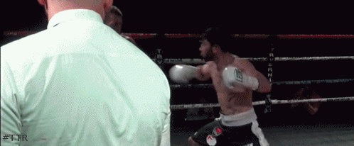 osnatotko3423423.gif