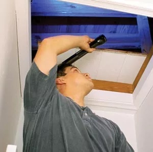 Mold-Inspector-In-Freehold-NJ.jpg