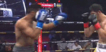 sait4534543.gif