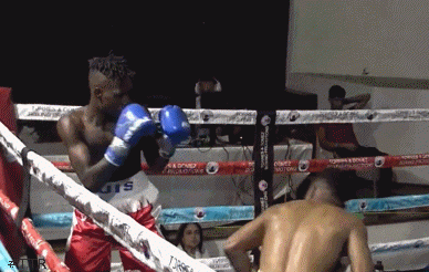 luistko3423423.gif