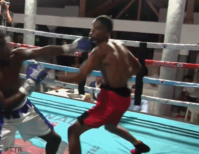 seekdestroytko4534534.gif