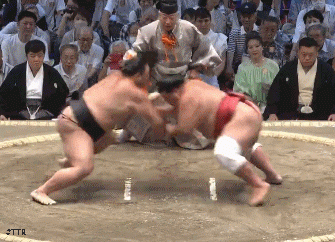 asa34535345uu34.gif