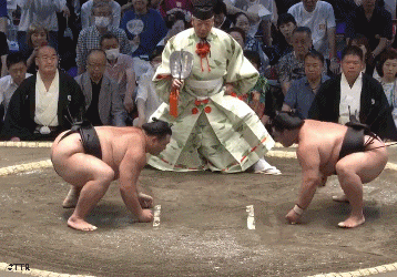 eiseiii4324242.gif