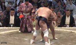 eru54454trtrtr6565.gif