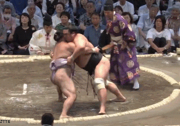 kotoro43444544.gif