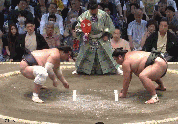 tettur6856548754g.gif