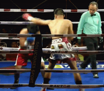 asto35435erey564.gif