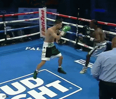 se54545ert.gif