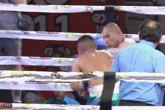 536f5erfrtre456.gif