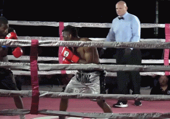 ezgif-5-b76c581689.gif