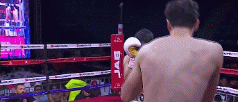 sa4324234.gif