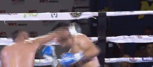 we23442234utaaaa4w3234.gif